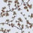 Bild von 